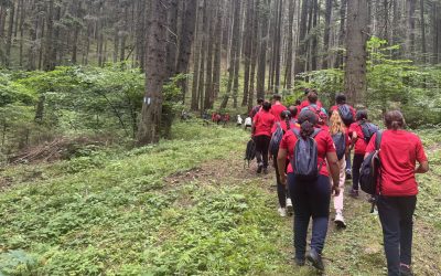 Cei 11 kilometri dintre Ponorâta și liceu – distanța care nu se vede pe hartă | Comunicat de presă EduPower